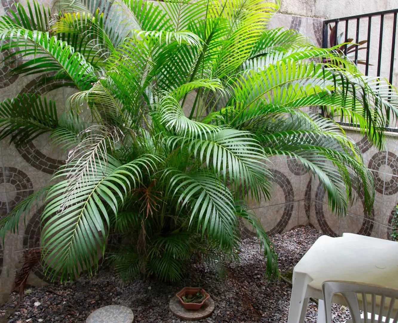 Kings Flat - Apartamentos Com Conforto Beira Mar Natal 0*,